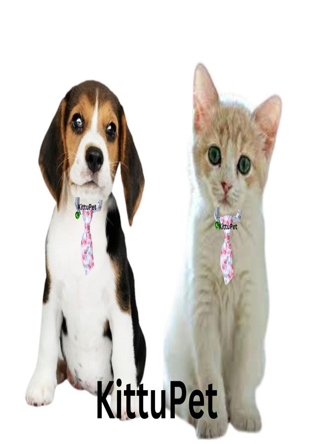 KittuPet Dog Neck tie, Neck tie Dog Collar, Sky Blue Dog Collar, Unique Dog Collar, Safety Breakaway Buckle, Sky Blue Neck tie cat, Neck tie Collar cat (Grey, Cotton Dog tie) - Image 4